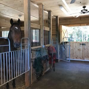 Meet your Posher, Judy